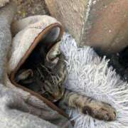 ヒメ日記 2025/03/04 03:39 投稿 あい sweet kiss