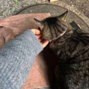 ヒメ日記 2025/03/05 03:19 投稿 あい sweet kiss