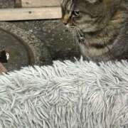 ヒメ日記 2025/03/07 03:19 投稿 あい sweet kiss