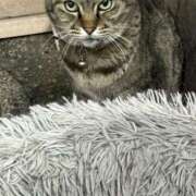 ヒメ日記 2025/03/09 03:09 投稿 あい sweet kiss