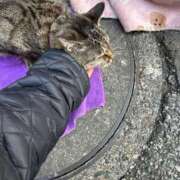 ヒメ日記 2025/03/10 02:59 投稿 あい sweet kiss