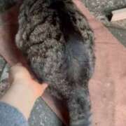 ヒメ日記 2025/03/11 02:59 投稿 あい sweet kiss