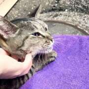 ヒメ日記 2025/03/12 03:49 投稿 あい sweet kiss