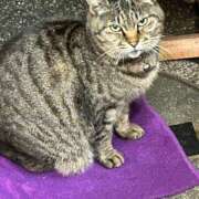 ヒメ日記 2025/03/14 02:49 投稿 あい sweet kiss