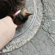 ヒメ日記 2025/03/16 08:20 投稿 あい sweet kiss