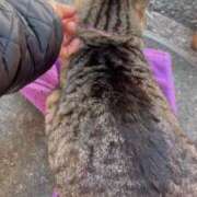 ヒメ日記 2025/03/19 15:09 投稿 あい sweet kiss