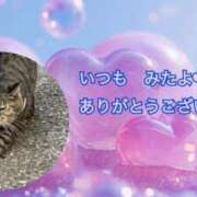 ヒメ日記 2025/03/20 02:19 投稿 あい sweet kiss