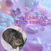 ヒメ日記 2025/03/24 03:39 投稿 あい sweet kiss