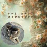 ヒメ日記 2025/03/25 02:49 投稿 あい sweet kiss