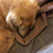 ヒメ日記 2025/03/26 12:29 投稿 あい sweet kiss