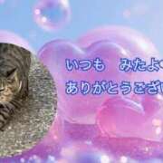 ヒメ日記 2025/03/27 07:19 投稿 あい sweet kiss