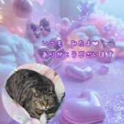 ヒメ日記 2025/03/30 03:49 投稿 あい sweet kiss