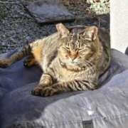 ヒメ日記 2025/03/30 09:09 投稿 あい sweet kiss