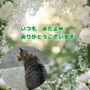 ヒメ日記 2025/03/31 03:09 投稿 あい sweet kiss