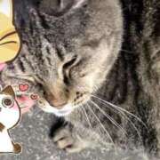 ヒメ日記 2025/03/31 14:59 投稿 あい sweet kiss