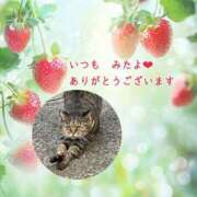ヒメ日記 2025/04/01 03:19 投稿 あい sweet kiss