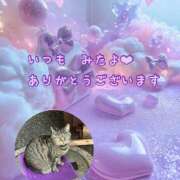 ヒメ日記 2025/04/03 02:59 投稿 あい sweet kiss