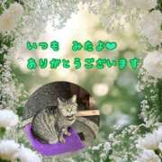 ヒメ日記 2025/04/04 04:09 投稿 あい sweet kiss