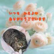 ヒメ日記 2025/04/05 03:29 投稿 あい sweet kiss