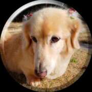 ヒメ日記 2025/04/08 09:09 投稿 あい sweet kiss