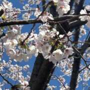 ヒメ日記 2025/04/10 22:39 投稿 あい sweet kiss