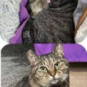 ヒメ日記 2025/04/11 03:39 投稿 あい sweet kiss