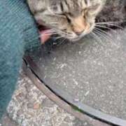 ヒメ日記 2025/04/12 23:56 投稿 あい sweet kiss