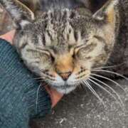 ヒメ日記 2025/04/13 03:09 投稿 あい sweet kiss