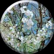 ヒメ日記 2025/04/13 23:19 投稿 あい sweet kiss