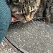 ヒメ日記 2025/04/14 03:39 投稿 あい sweet kiss