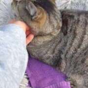 ヒメ日記 2025/04/14 17:09 投稿 あい sweet kiss