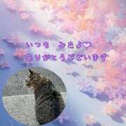 ヒメ日記 2025/04/15 09:29 投稿 あい sweet kiss