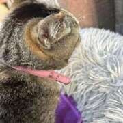 ヒメ日記 2025/04/15 23:39 投稿 あい sweet kiss