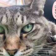 ヒメ日記 2025/04/17 23:09 投稿 あい sweet kiss