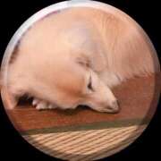 ヒメ日記 2025/04/22 08:59 投稿 あい sweet kiss