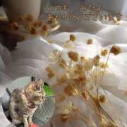 ヒメ日記 2025/04/26 09:20 投稿 あい sweet kiss