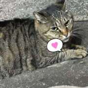 ヒメ日記 2025/04/28 00:02 投稿 あい sweet kiss