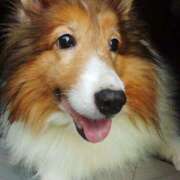 ヒメ日記 2025/04/29 08:45 投稿 あい sweet kiss