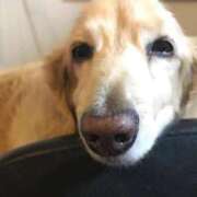 ヒメ日記 2025/04/29 23:39 投稿 あい sweet kiss