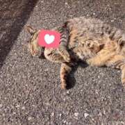 ヒメ日記 2025/04/30 02:59 投稿 あい sweet kiss