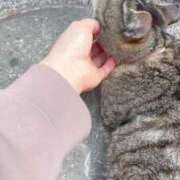 ヒメ日記 2025/04/30 16:09 投稿 あい sweet kiss