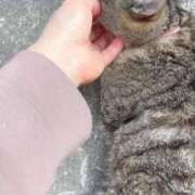 ヒメ日記 2025/05/01 03:19 投稿 あい sweet kiss