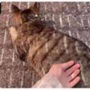 ヒメ日記 2025/05/01 15:19 投稿 あい sweet kiss