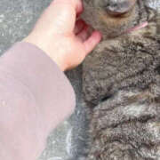 ヒメ日記 2025/05/02 02:50 投稿 あい sweet kiss