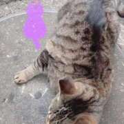 ヒメ日記 2025/05/02 03:23 投稿 あい sweet kiss