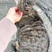 ヒメ日記 2025/05/03 03:39 投稿 あい sweet kiss