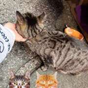 ヒメ日記 2025/05/04 03:29 投稿 あい sweet kiss