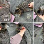 ヒメ日記 2025/05/05 03:29 投稿 あい sweet kiss