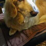 ヒメ日記 2025/05/06 22:39 投稿 あい sweet kiss