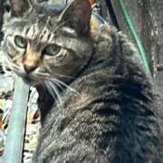 ヒメ日記 2025/05/07 02:49 投稿 あい sweet kiss